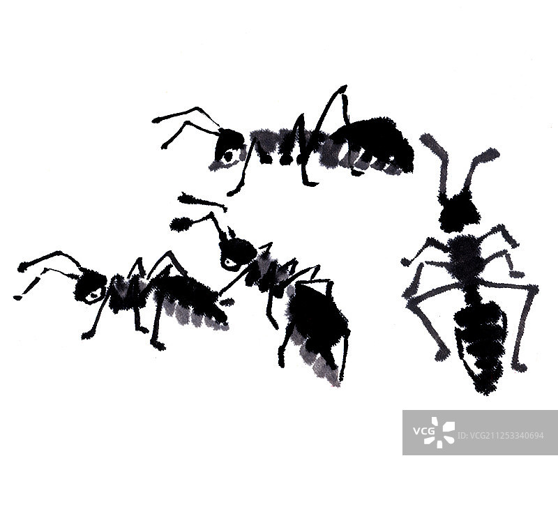 中国画水墨画-勤劳的蚂蚁图片素材