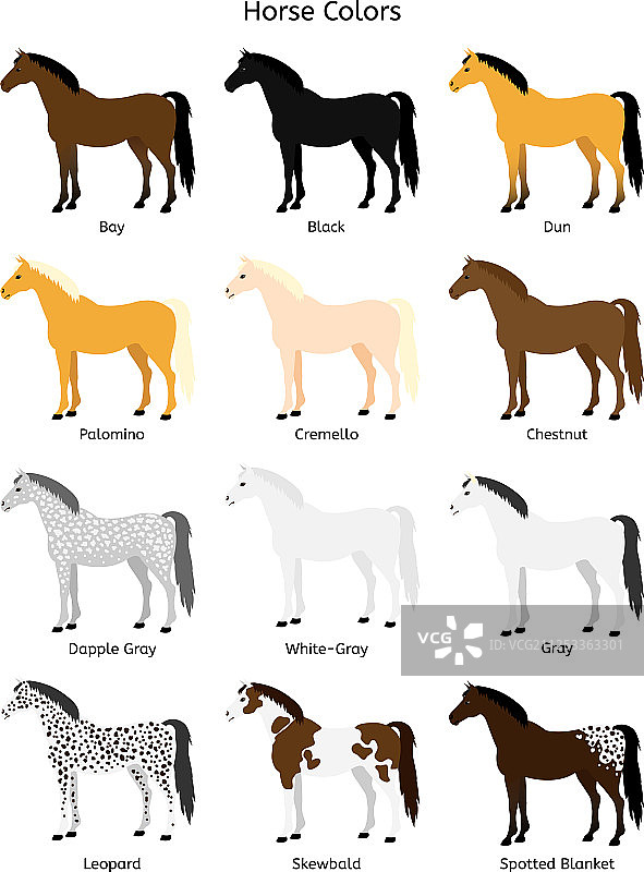 彩色马匹扁平风格素材图片素材