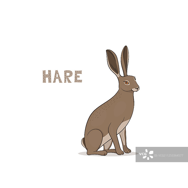 白色背景上的卡通野兔图片素材