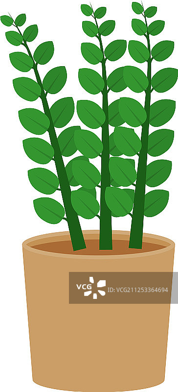 盆栽千年木扁平图标室内植物花卉图片素材