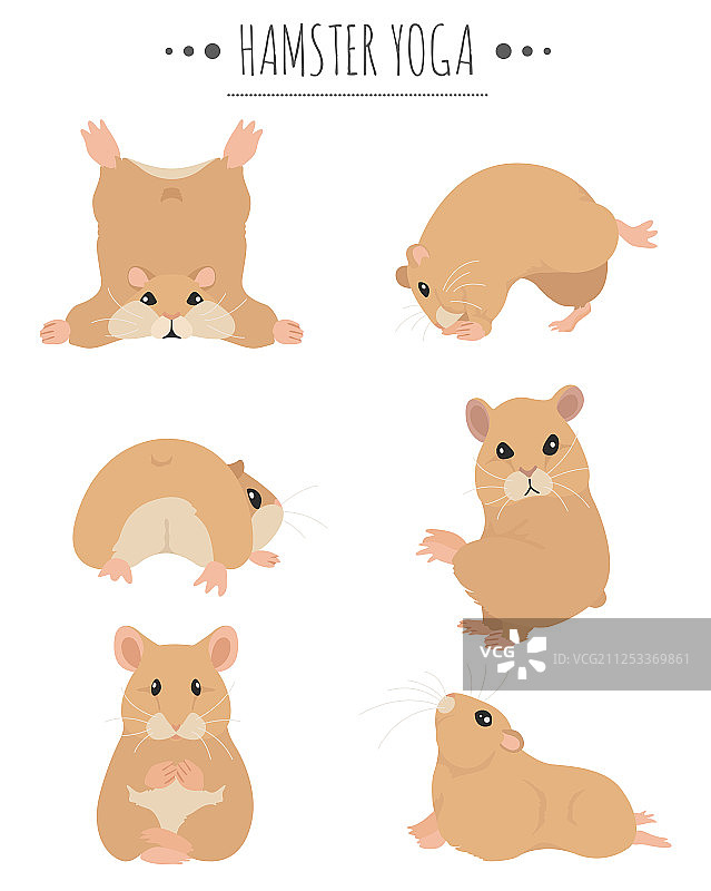 仓鼠瑜伽姿势和练习可爱卡通图片素材