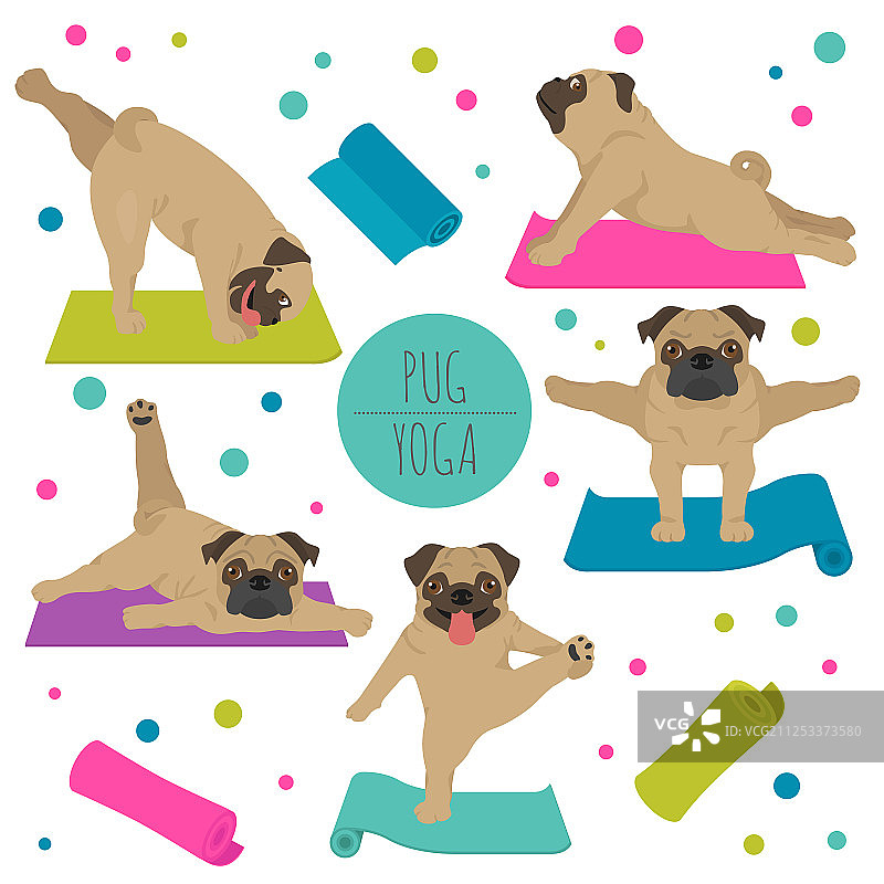 瑜伽小狗姿势和练习 - 巴哥犬剪贴画图片素材
