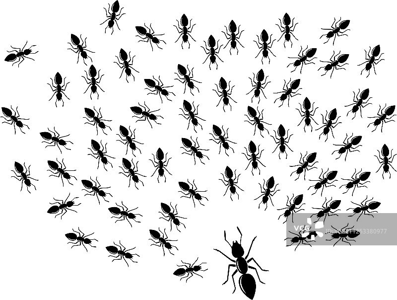 蚂蚁标志图标设计图片素材