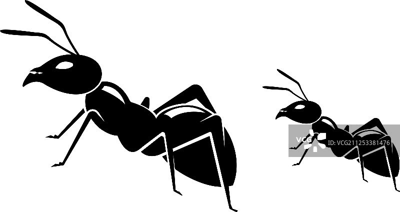 蚂蚁logo模板图片素材