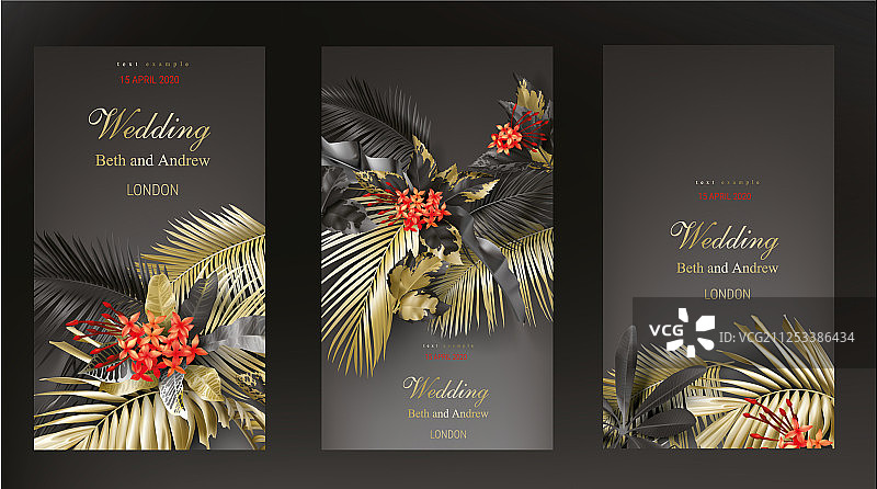 热带黑色和金色的叶子在黑暗的背景图片素材