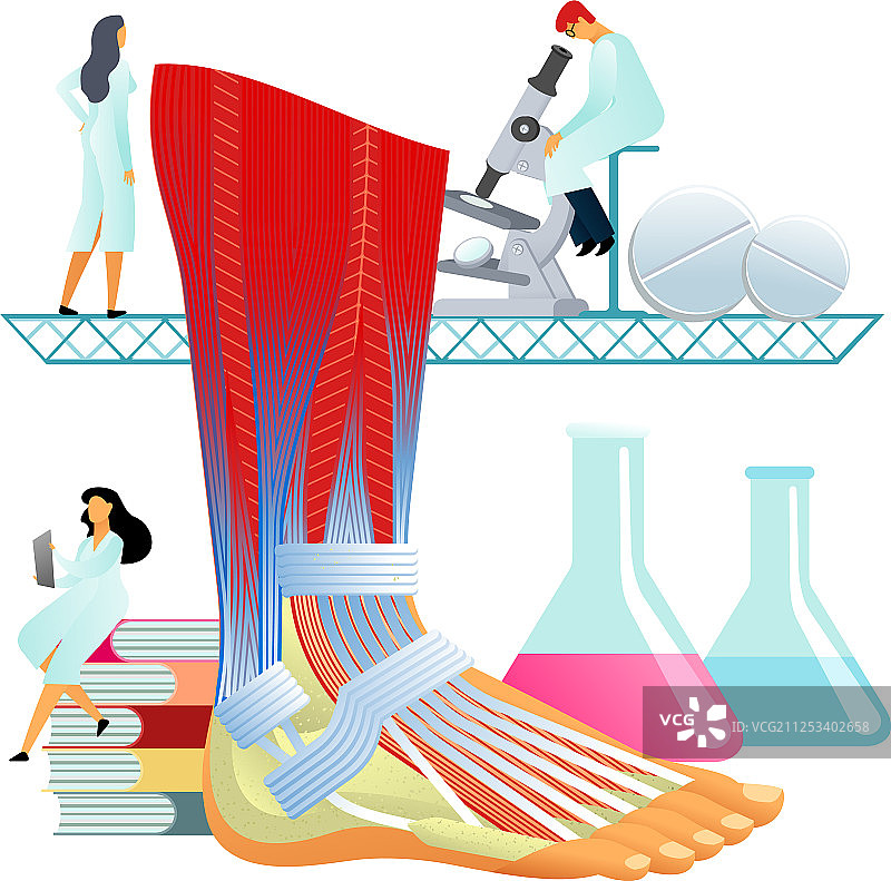 扁平风格的大脚图片素材