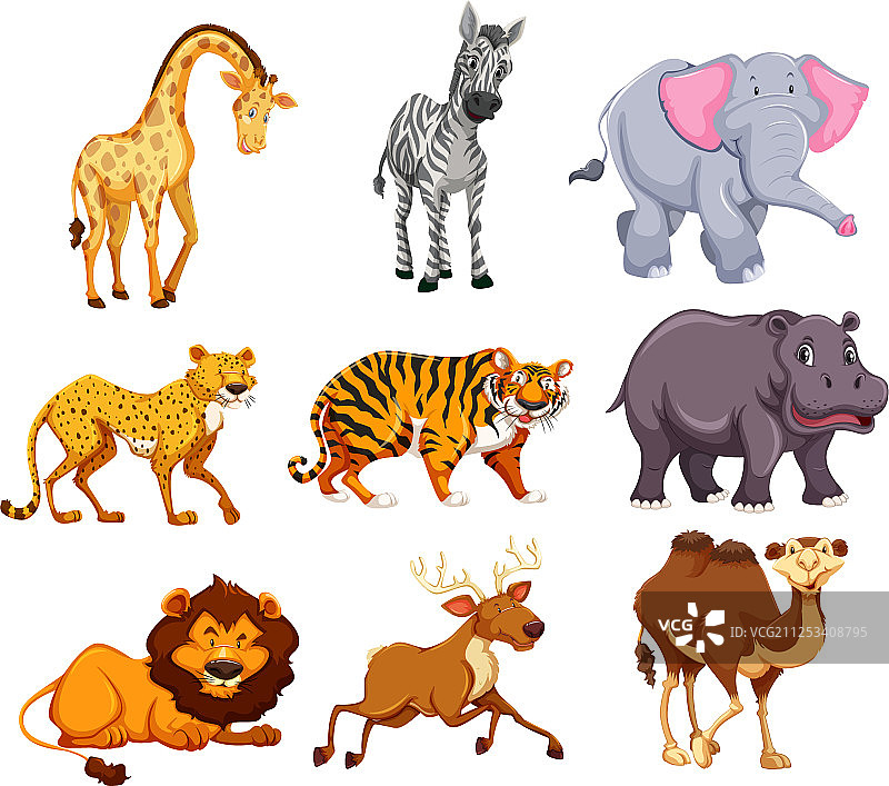 野生动物组合图片素材