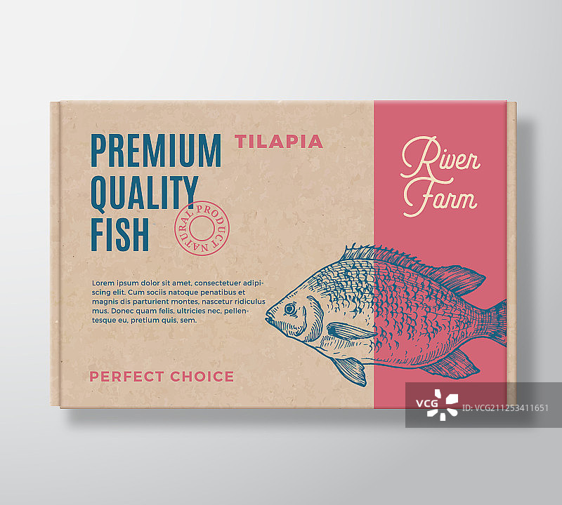 优质逼真鱼类纸板箱图片素材