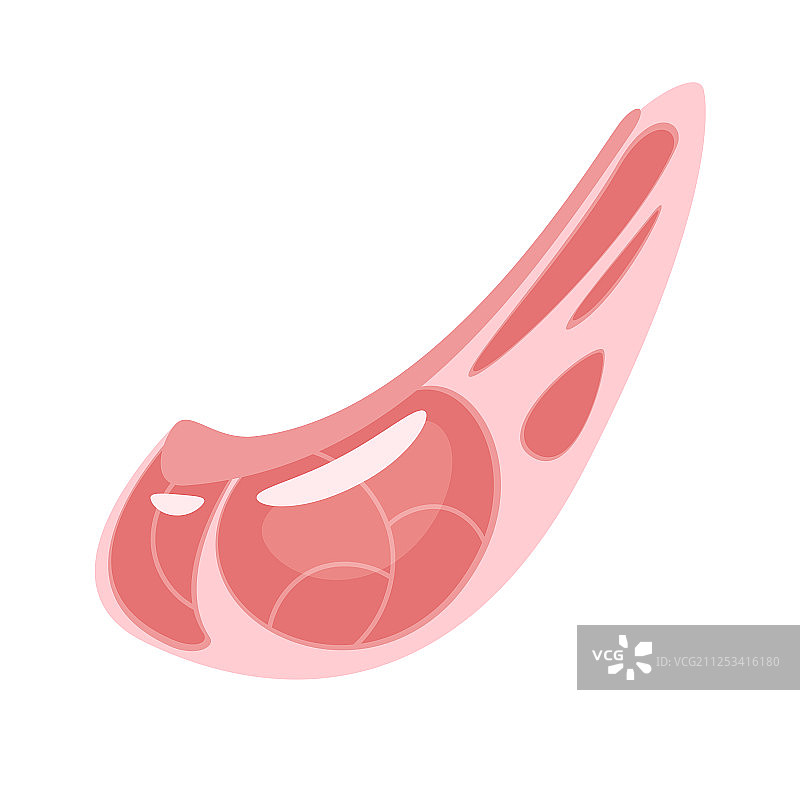 生鲜牛肋排图片素材