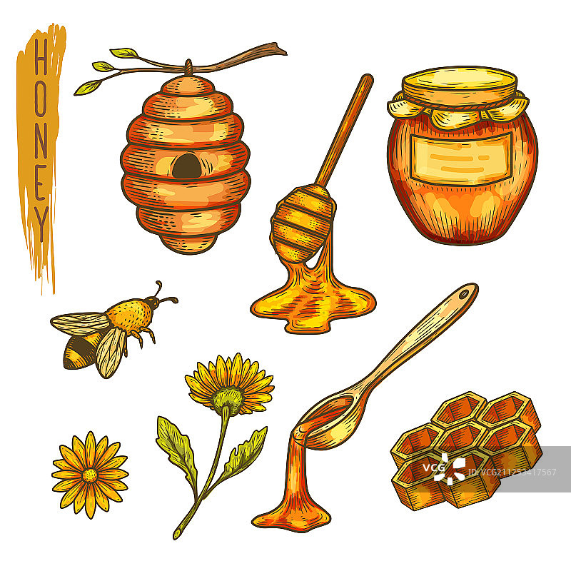 养蜂业蜂蜜、蜂巢和蜂勺图片素材