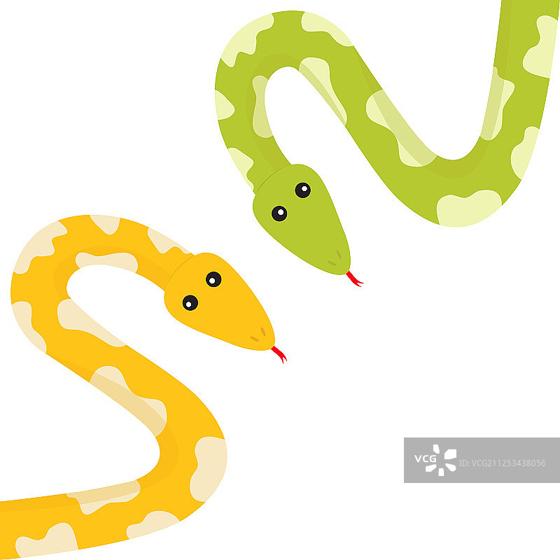 吐着信子的金黄色蟒蛇图片素材