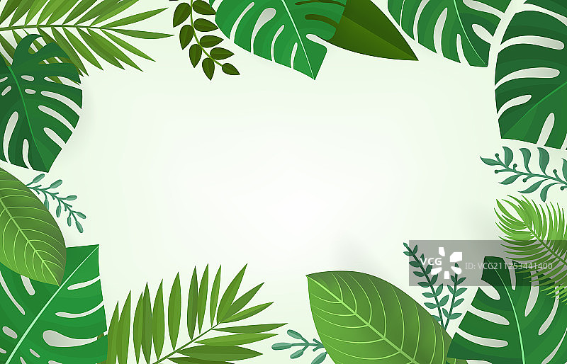 夏季绿色热带元素组合图片素材