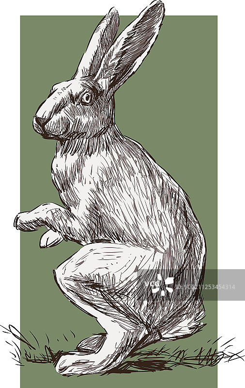 手绘兔子图片素材