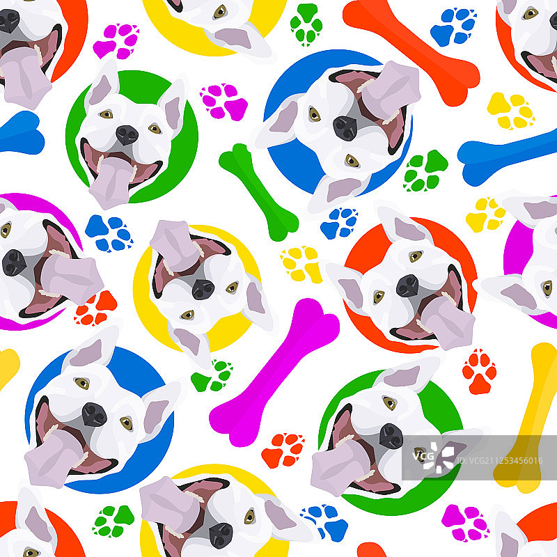 色彩鲜艳的顽皮牛头梗图片素材