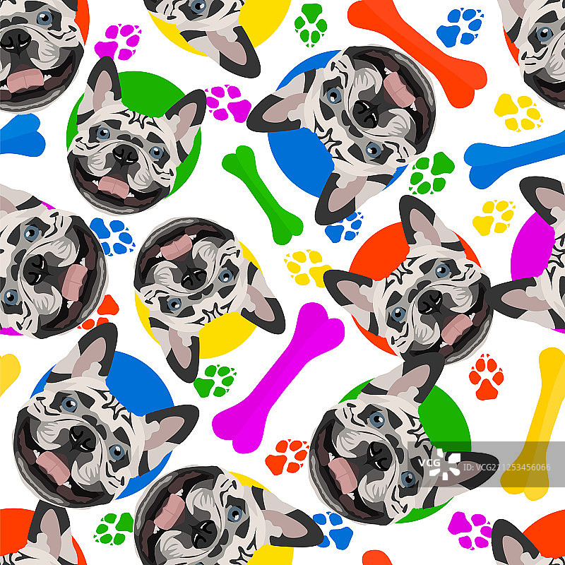 色彩鲜艳俏皮的法国斗牛犬图片素材