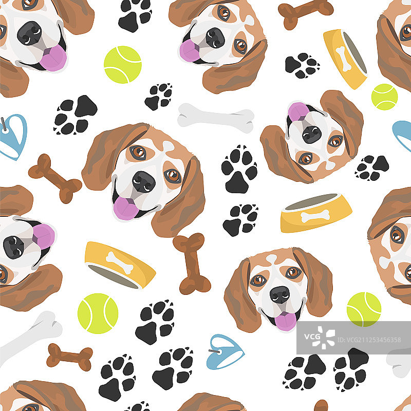 微笑的小猎犬图片素材