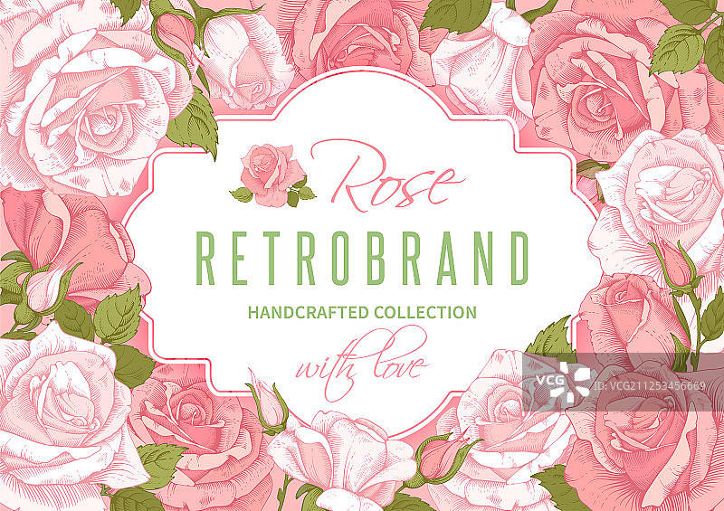 玫瑰花卉边框图片素材