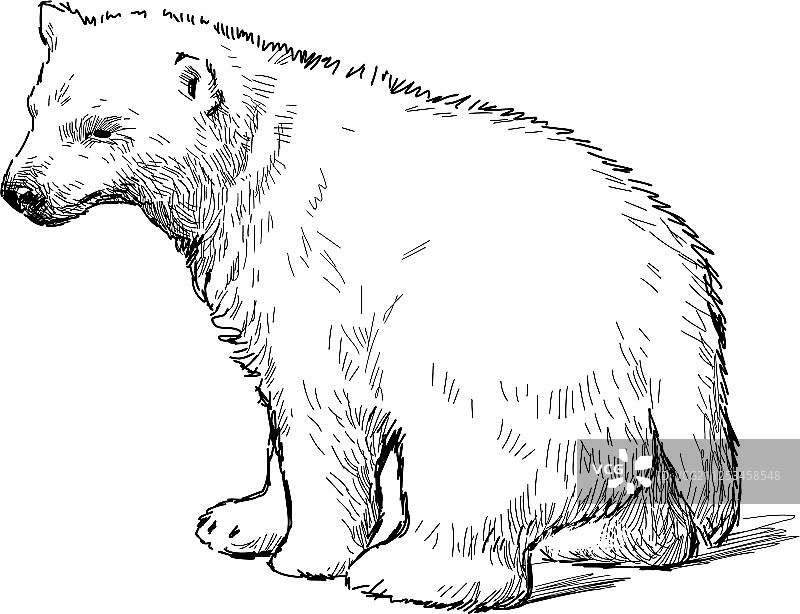 白色小熊崽图片素材