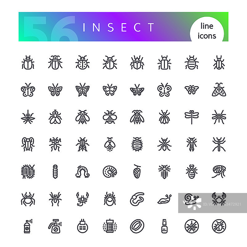 昆虫线性图标合集图片素材