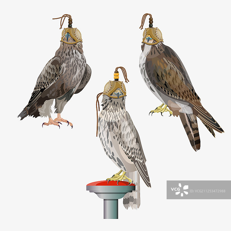 猎鹰活动素材合集图片素材