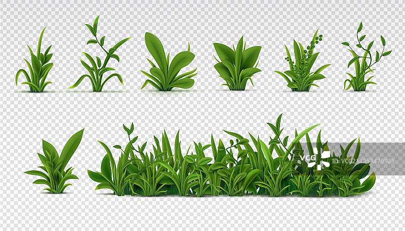 逼真绿色草地3D春季植物图片素材