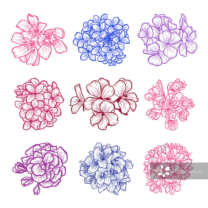 手绘花卉装饰图片素材