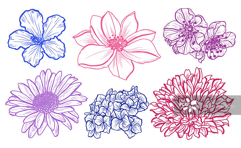 手绘花卉装饰图片素材