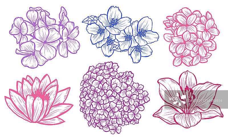 手绘花卉装饰图片素材