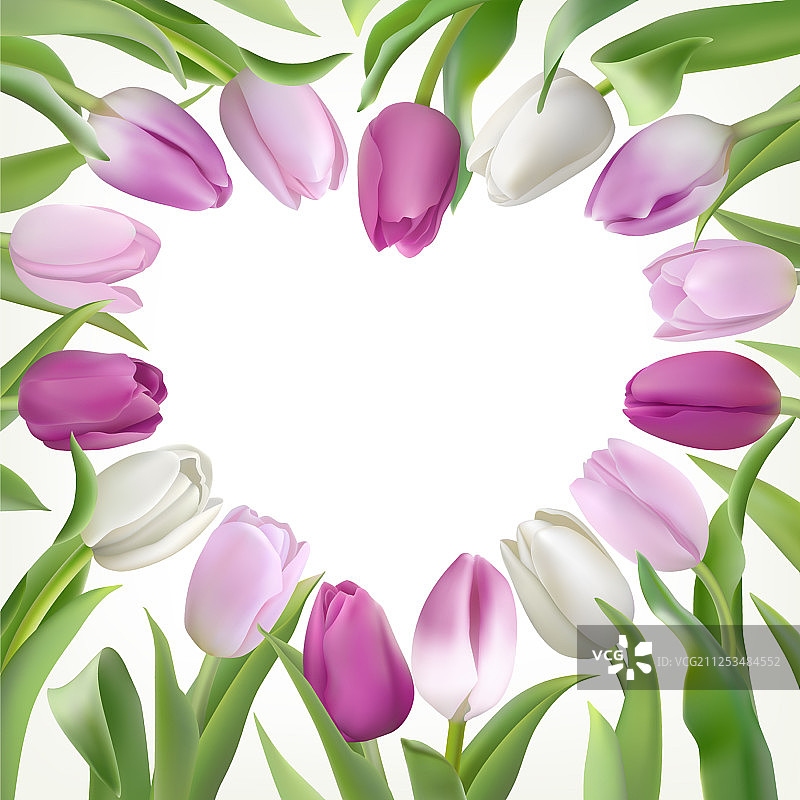 丁香和白色郁金香卡片模板图片素材