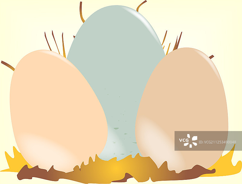 布谷鸟图片素材