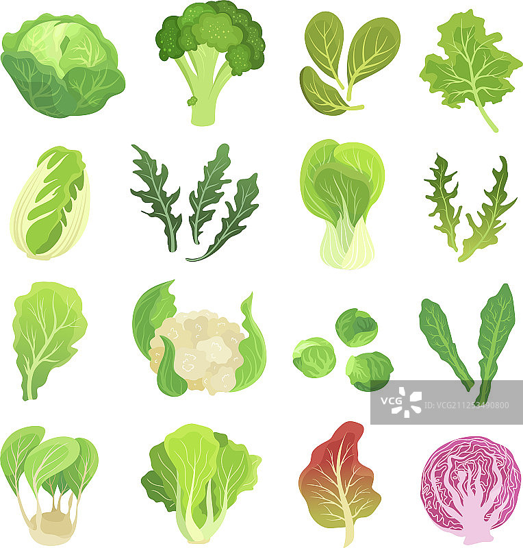 绿叶蔬菜农业植物素材图片素材