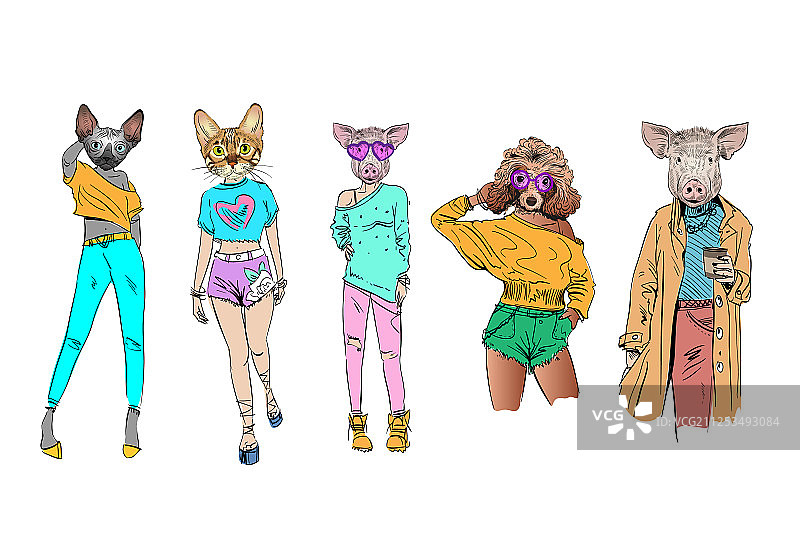 动物头像的时尚模特合集图片素材