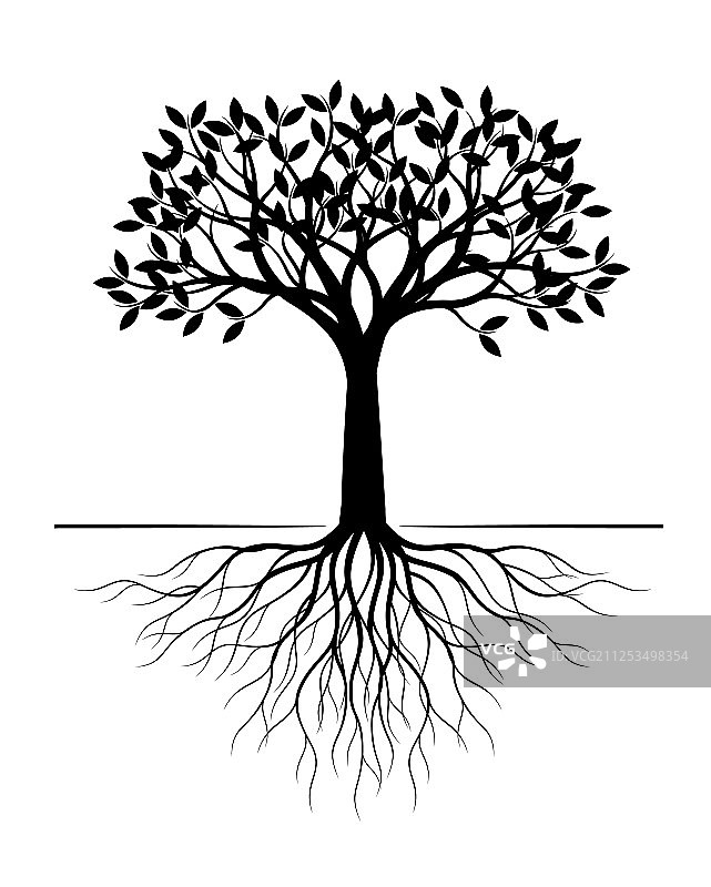 白色背景上的带根黑色树木图片素材
