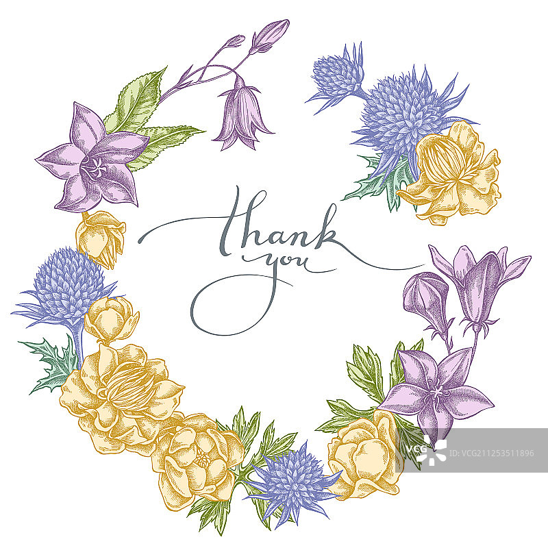 粉色风铃草蓝蓟花花环图片素材