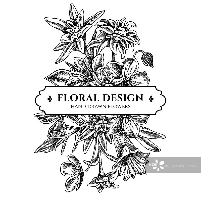 黑白花束设计图片素材