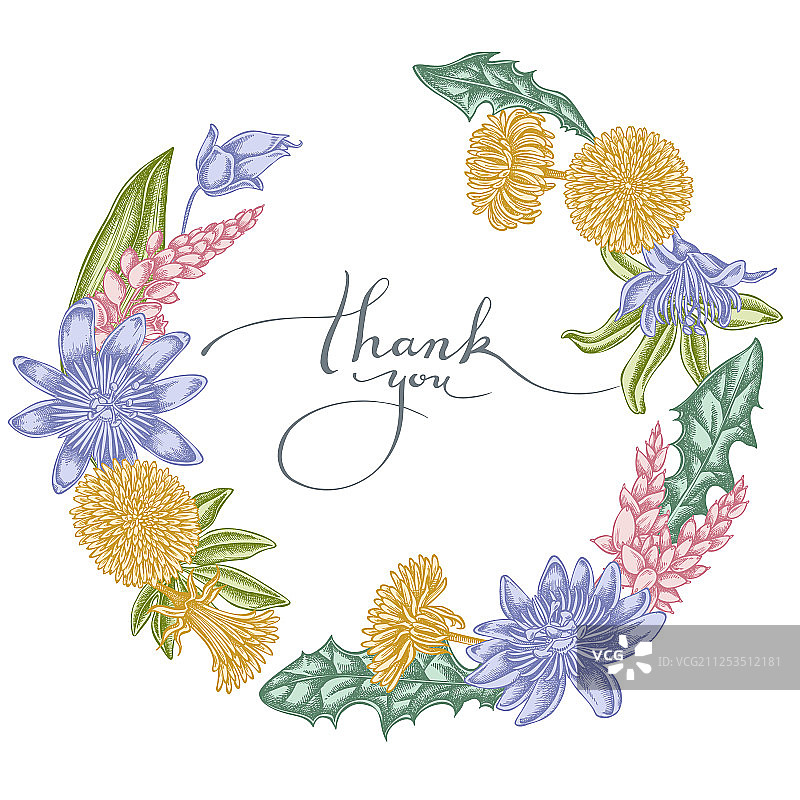 粉色蒲公英姜百香花环图片素材