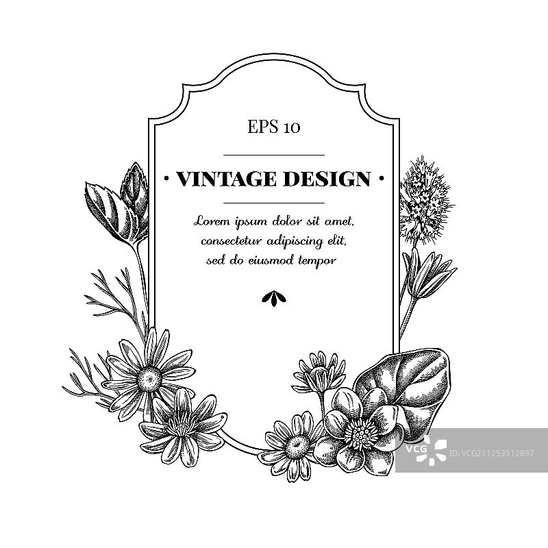 带有黑白白屈菜的徽章设计图片素材