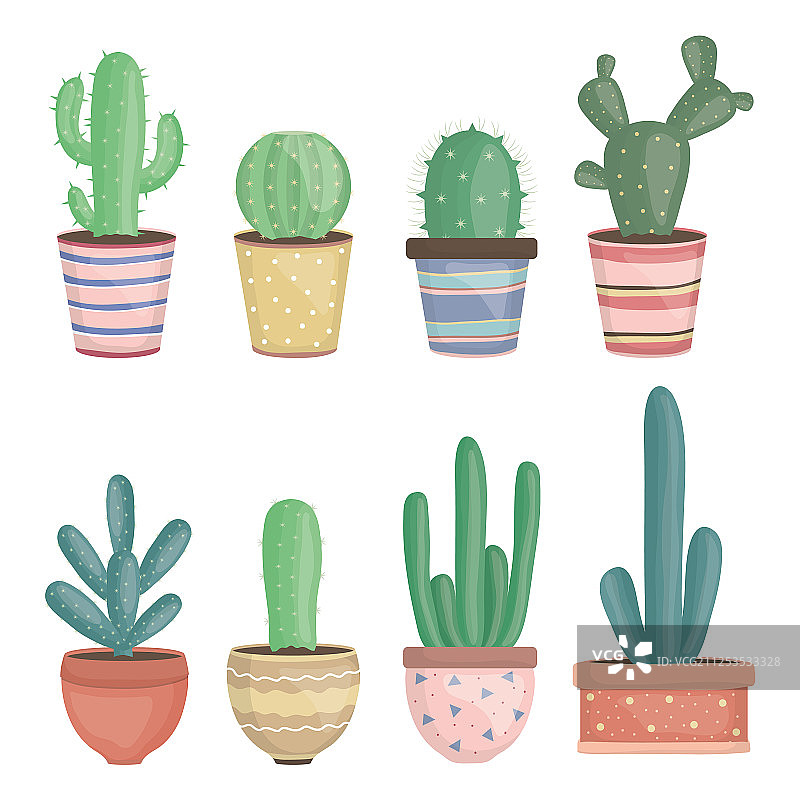 陶瓷盆中的异国情调仙人掌植物图片素材