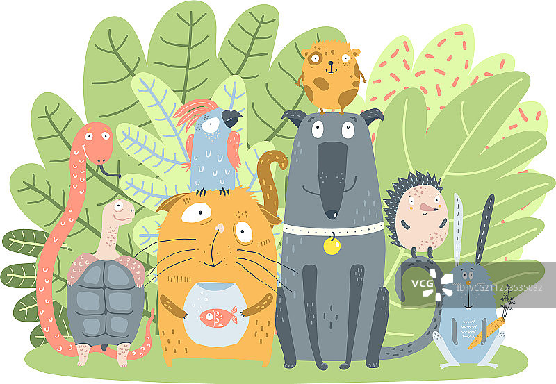 绿色灌木丛中的家养宠物图片素材