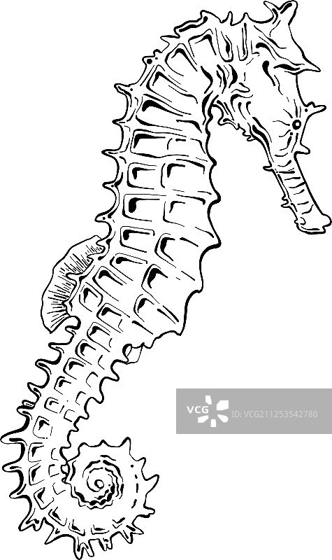 用于海报装饰和印刷的雕刻风格图片素材