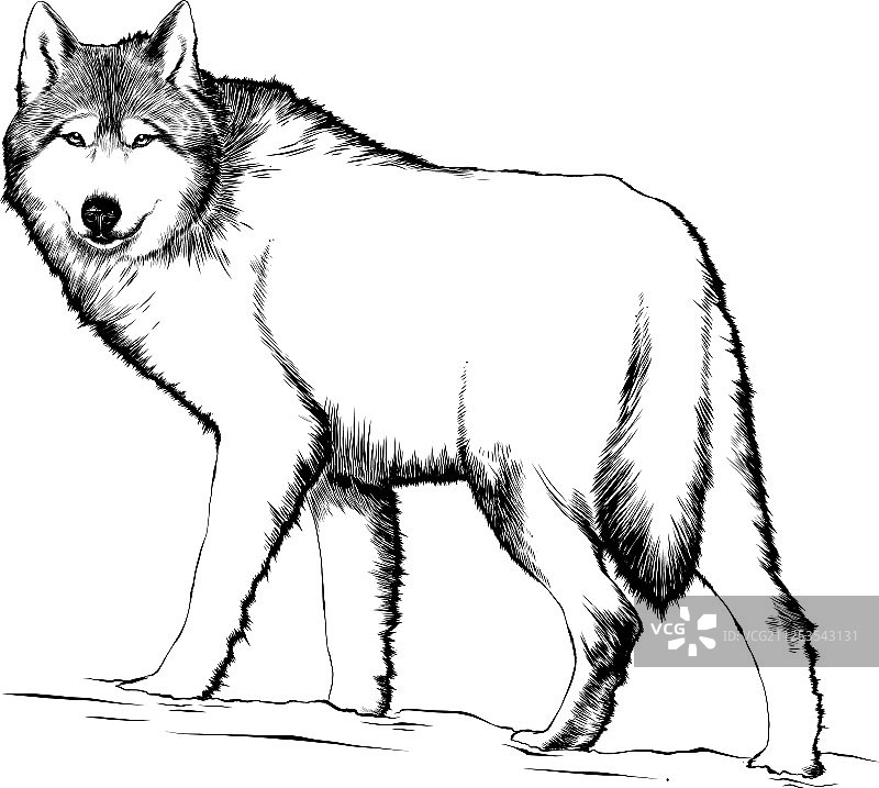 用于海报装饰和印刷的雕刻风格图片素材