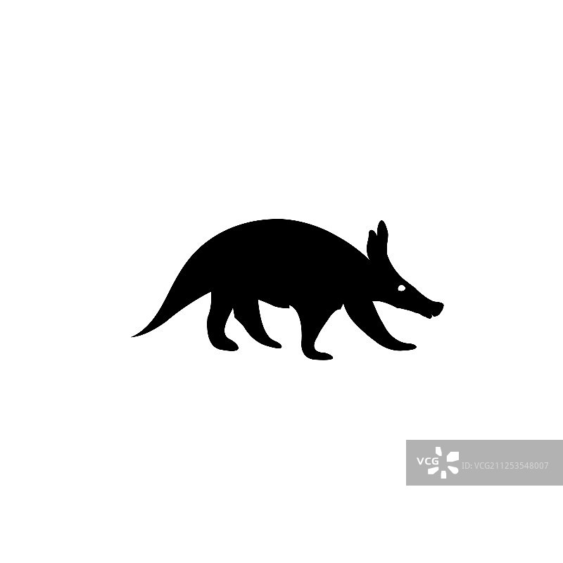 哺乳动物图片素材