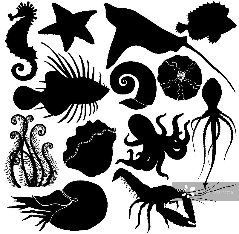 海洋生物剪影合集图片素材
