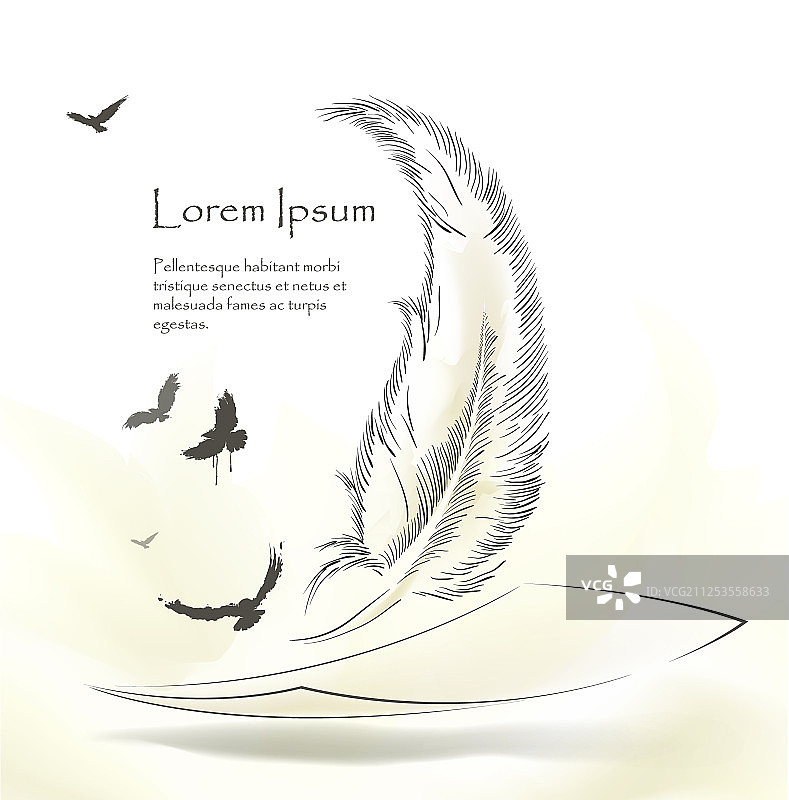 用旧羽毛笔书写，飞鸟环绕图片素材