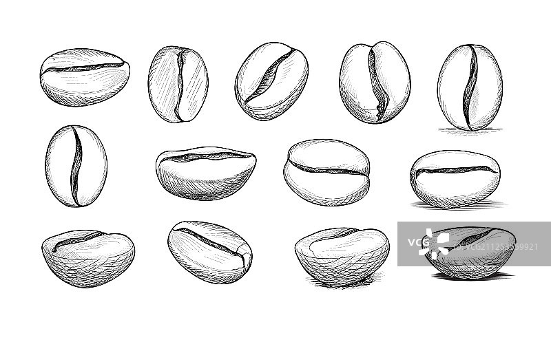 手绘咖啡豆图标涂鸦草图图片素材