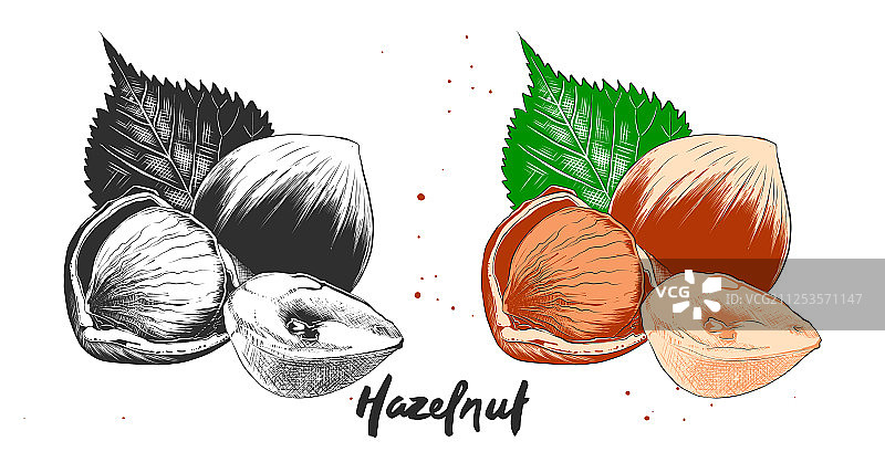 用于海报装饰和印刷的雕刻风格图片素材