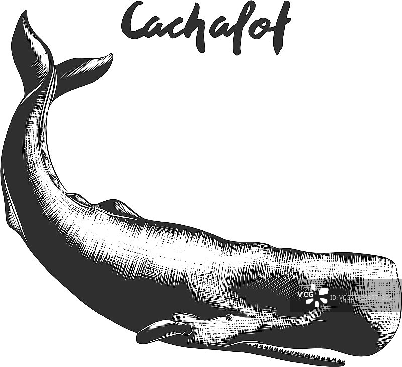 海报装饰雕刻风格图片素材