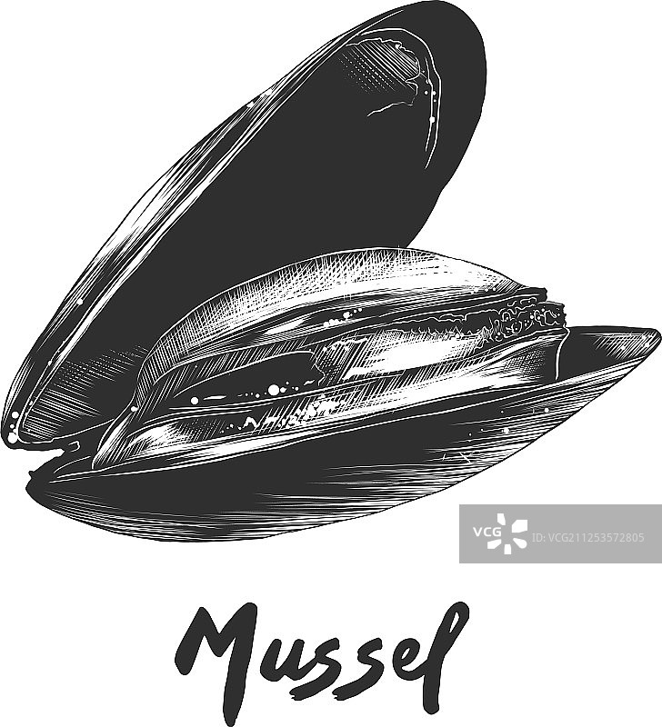 用于海报装饰和印刷的雕刻风格图片素材