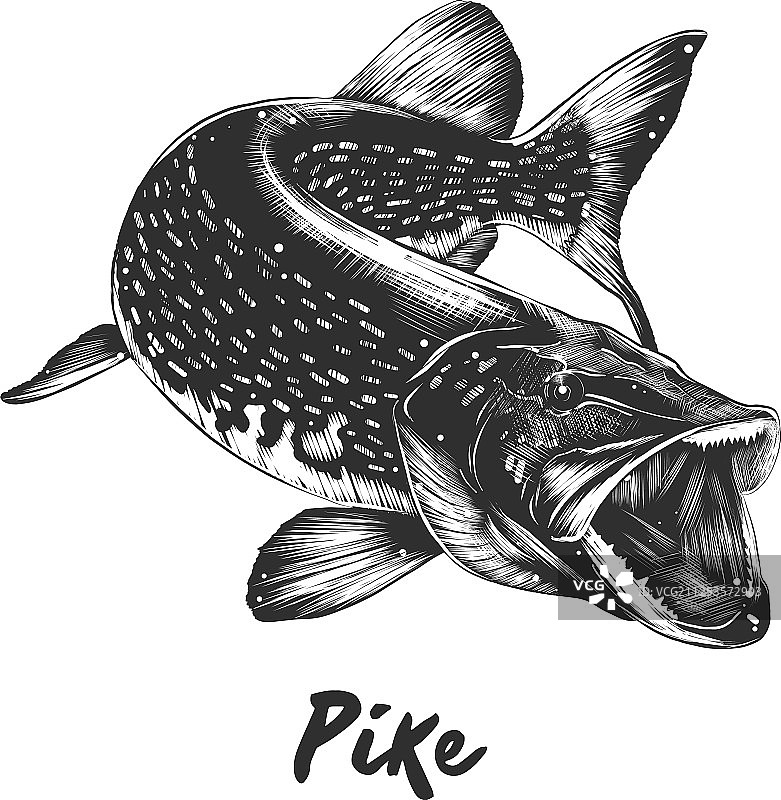 用于海报装饰和印刷的雕刻风格图片素材