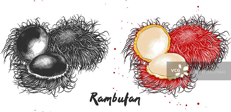 海报装饰包装雕刻风格图片素材